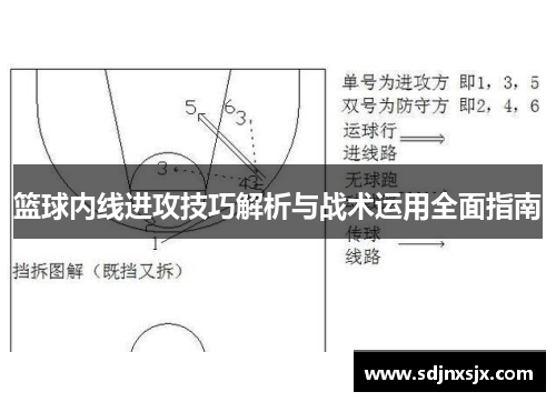 篮球内线进攻技巧解析与战术运用全面指南